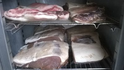 early meat curing