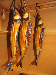 Cold smoking clearance mackerel